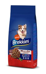 Brekkies Excel Dog с говядиной, 20 кг цена и информация | Сухой корм для собак | kaup24.ee