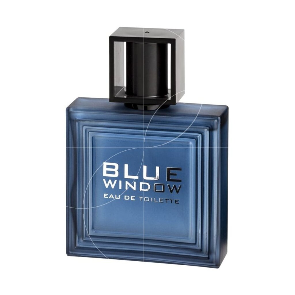 Tualettvesi meestele Linn Young Blue Window EDT 100 ml цена и информация | Meeste parfüümid | kaup24.ee