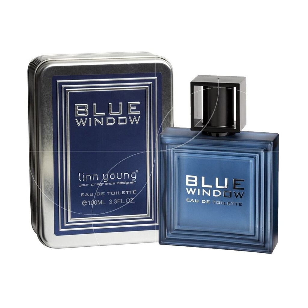 Tualettvesi meestele Linn Young Blue Window EDT 100 ml hind ja info | Meeste parfüümid | kaup24.ee