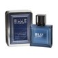 Tualettvesi meestele Linn Young Blue Window EDT 100 ml цена и информация | Meeste parfüümid | kaup24.ee