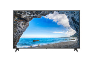 TV Set LG 43'' 4K/Smart 3840x2160 Wireless LAN Bluetooth webOS цена и информация | Телевизоры | kaup24.ee
