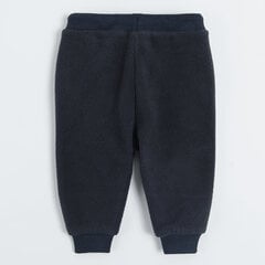 Cool Club штаны для мальчиков, CCB2501536, синие цена и информация | Штаны для мальчика Nini | kaup24.ee