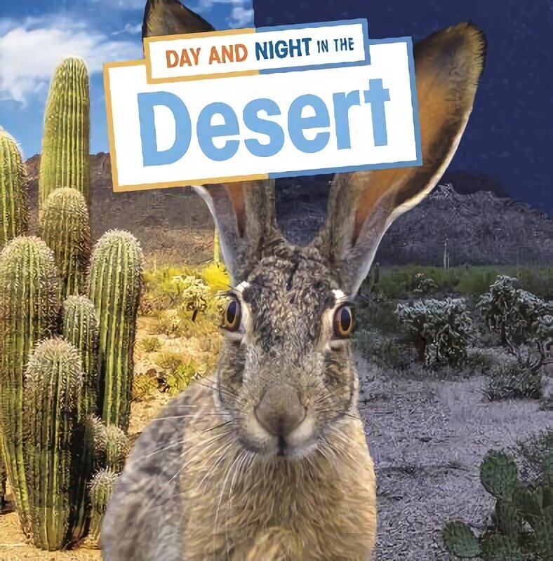 Day and Night in the Desert цена и информация | Noortekirjandus | kaup24.ee