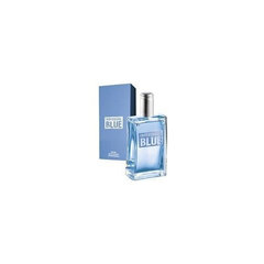 Avon Tualettvesi Individual Blue For Him, 100 ml hind ja info | Meeste parfüümid | kaup24.ee