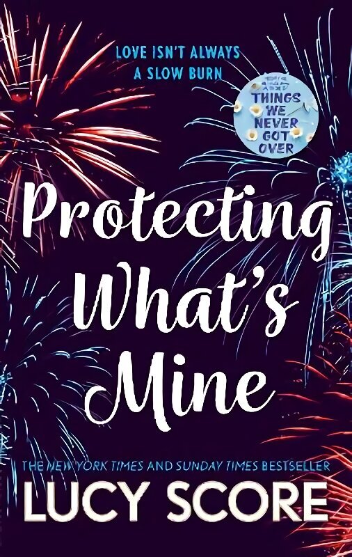 Protecting What's Mine цена и информация | Fantaasia, müstika | kaup24.ee