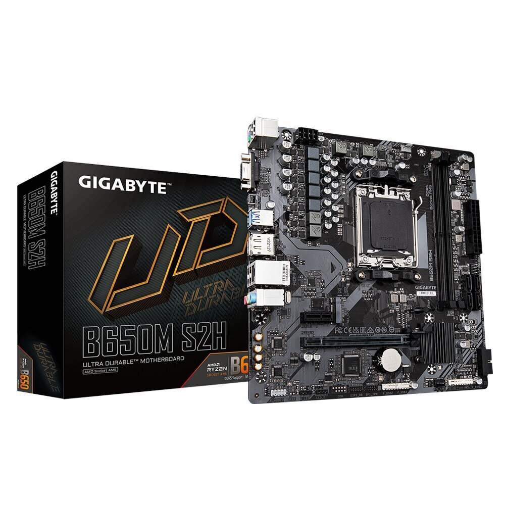 Gigabyte B650M DS2H hind ja info | Emaplaadid | kaup24.ee