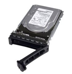 Dell 400-AMUI цена и информация | Внутренние жёсткие диски (HDD, SSD, Hybrid) | kaup24.ee