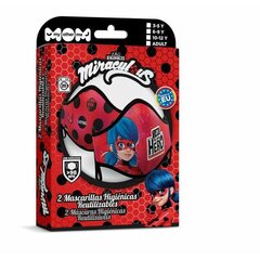 Hügieeniline taaskasutatav kangasmask/riidemask My Other Me Ladybug Premium 10-12 aastat hind ja info | Esmaabi | kaup24.ee