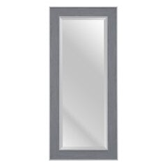 Настенное зеркало 56 x 2 x 126 cm Серый Деревянный Белый цена и информация | Зеркала | kaup24.ee