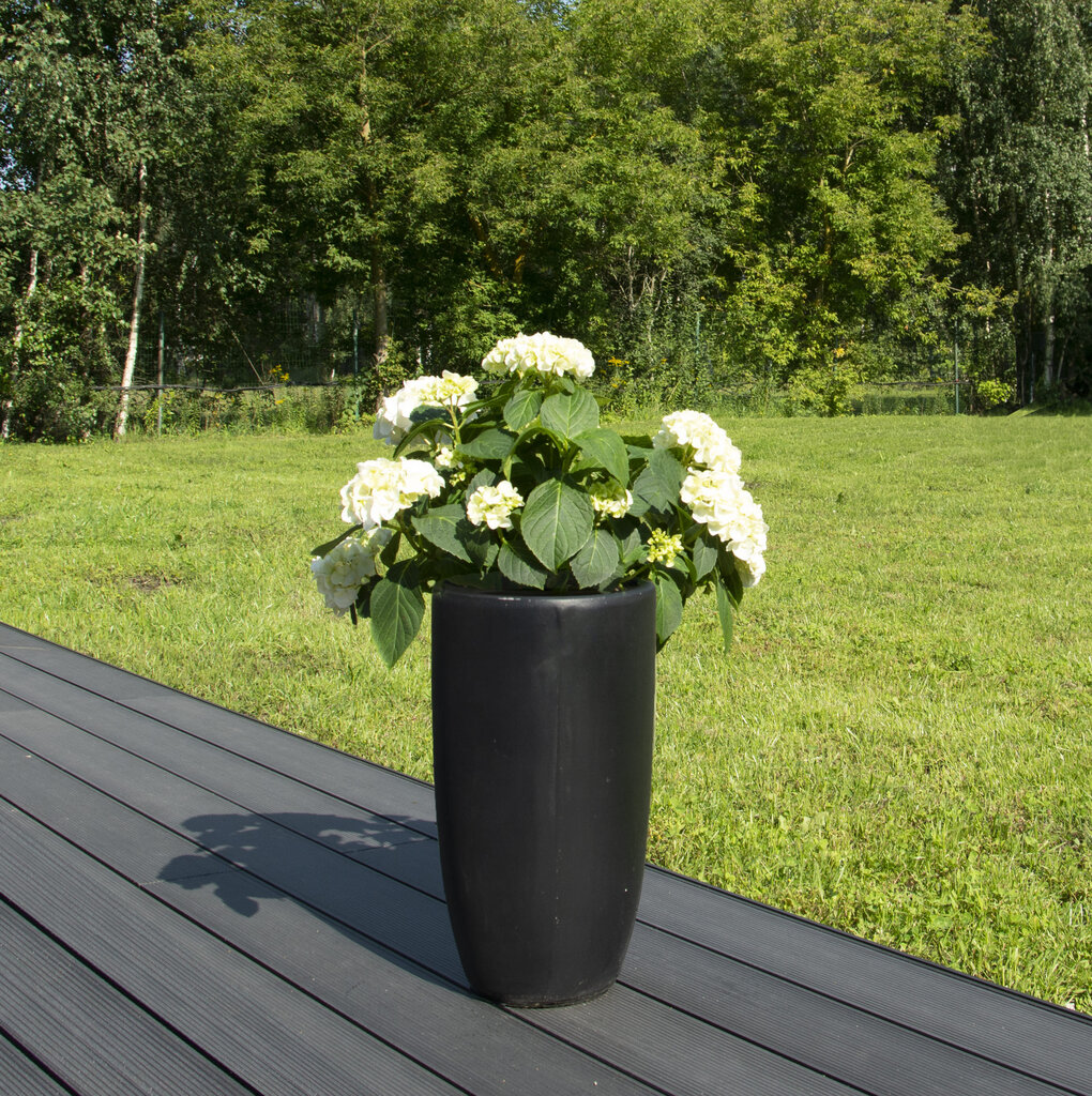 Lillepott Black Stone XS hind ja info | Dekoratiivsed lillepotid | kaup24.ee