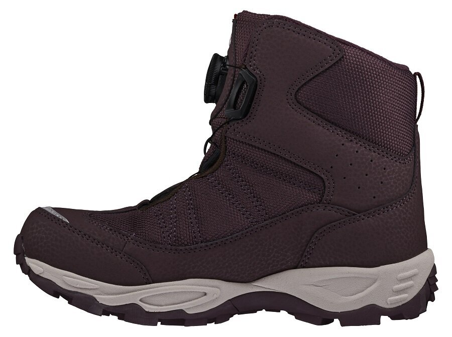 Viking talvesaapad Bjork High GTX BOA, burgundia hind ja info | Laste talvesaapad | kaup24.ee