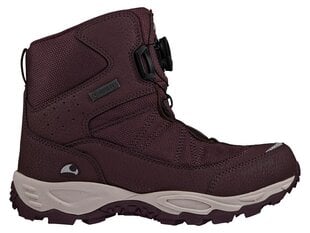 Зимние ботинки Viking Bjork High GTX BOA, бордовые цена и информация | Детская зимняя обувь | kaup24.ee