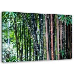 Seinapilt Bambuse varred цена и информация | Картины, живопись | kaup24.ee