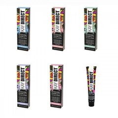 Juuksevärv KayPro base direct color Mahogany, 100 ml hind ja info | Juuksevärvid | kaup24.ee
