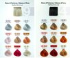 Juuksevärv KayPro Bleach & Color Cherry, 70 g hind ja info | Juuksevärvid | kaup24.ee