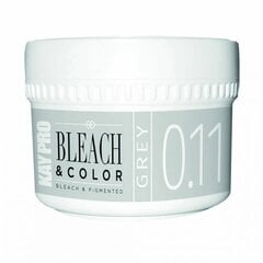 Juuksevärv KayPro Bleach & Color Grey, 70 g цена и информация | Краска для волос | kaup24.ee