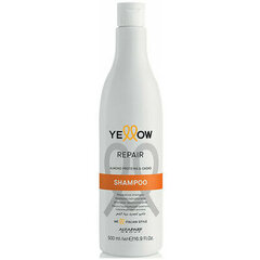 Šampoon Alfaparf Yellow Repair, 500 ml цена и информация | Шампуни | kaup24.ee