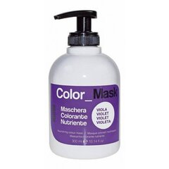 Toitev värvimask Kepro Kay Pro Purple, 300 ml цена и информация | Краска для волос | kaup24.ee