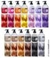 Toitev värvimask Kepro Kay Pro Purple, 300 ml hind ja info | Juuksevärvid | kaup24.ee