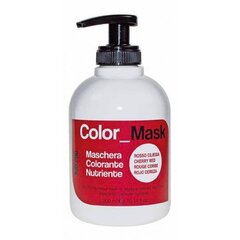 Toitev värvimask Kepro Kay Pro Cherry Red, 300 ml цена и информация | Краска для волос | kaup24.ee