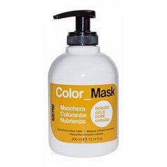 KEPRO Kay Pro COLOR_MASK Питательная цветная маска - ЗОЛОТО 300 мл цена и информация | Краска для волос | kaup24.ee