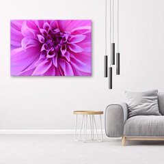 Seinapilt Violetne lill hind ja info | Seinapildid | kaup24.ee