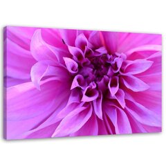 Seinapilt Violetne lill цена и информация | Картины, живопись | kaup24.ee