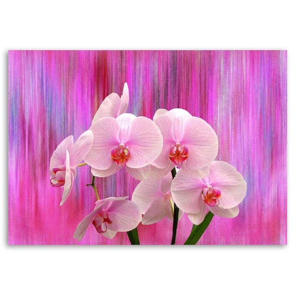 Seinapilt Orhideed lillas ja roosas hind ja info | Seinapildid | kaup24.ee