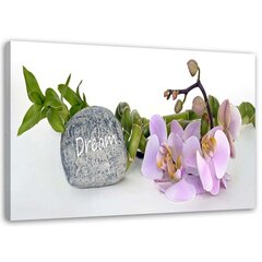 Seinapilt Orhideed kivile hind ja info | Seinapildid | kaup24.ee