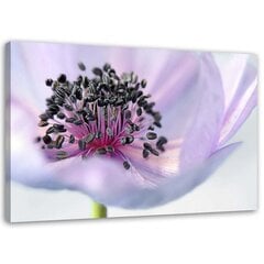Seinapilt Violetne anemone hind ja info | Seinapildid | kaup24.ee