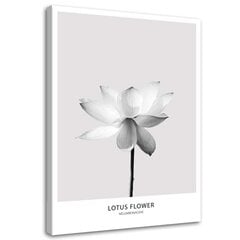 Seinapilt Valge lootose lill цена и информация | Картины, живопись | kaup24.ee