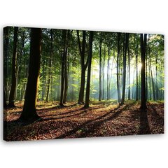 Принт холста, лес на рассвете 39,99 цена и информация | Репродукции, картины | kaup24.ee