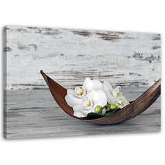 Холст принцип, белые цветы орхидеи 79,99 цена и информация | Картины, живопись | kaup24.ee