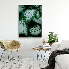 Принт холста, тропические листья белые и зеленые 79,99 цена и информация | Картины, живопись | kaup24.ee