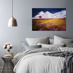Seinapildid, Alpide mäed цена и информация | Картины, живопись | kaup24.ee