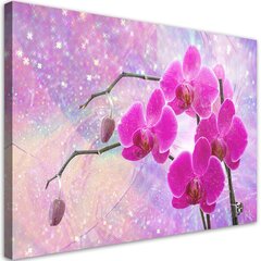 Seinapildid, Abstraktne roosa orhidee lilled цена и информация | Репродукции, картины | kaup24.ee