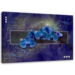 Seinapilt Orhidee sinine цена и информация | Картины, живопись | kaup24.ee