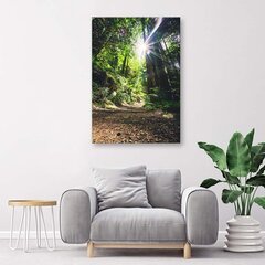 Seinapilt Tee džunglis цена и информация | Картины, живопись | kaup24.ee