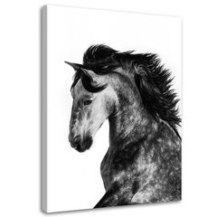 Картина DKD Home Decor, Лошадь (50 x 3 x 150 cm) (2 шт.) цена и информация | Репродукции, картины | kaup24.ee