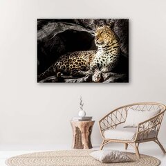 Seinapilt Leopard kaljudel hind ja info | Seinapildid | kaup24.ee