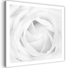 Seinapilt Valge roos hind ja info | Seinapildid | kaup24.ee