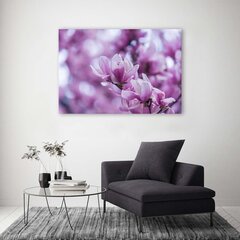 Seinapilt Magnoolia lilled цена и информация | Картины, живопись | kaup24.ee