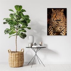 Seinapilt Leopardi foto mustal taustal hind ja info | Seinapildid | kaup24.ee