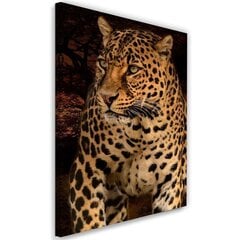 Seinapilt Leopardi foto mustal taustal hind ja info | Seinapildid | kaup24.ee
