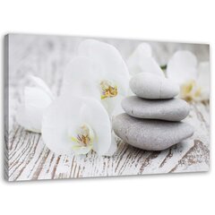 Seinapilt Valge orhidee ja kivid hind ja info | Seinapildid | kaup24.ee