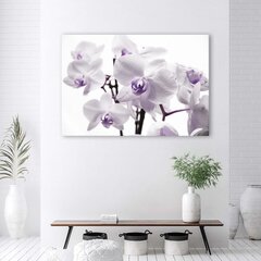 Seinapilt Valge ja lilla orhidee hind ja info | Seinapildid | kaup24.ee