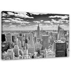 Seinapilt Vaade Manhattanile цена и информация | Картины, живопись | kaup24.ee
