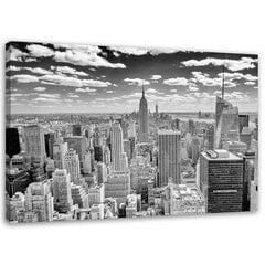 Seinapilt Vaade Manhattanile цена и информация | Картины, живопись | kaup24.ee