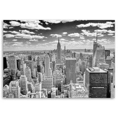 Seinapilt Vaade Manhattanile hind ja info | Seinapildid | kaup24.ee