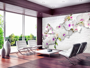 Фотообои с инструментом и клеем - Стена с орхидеями V2, 350x256 см цена и информация | Фотообои | kaup24.ee